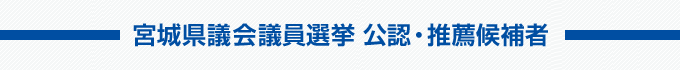 宮城県議会議員選挙